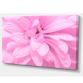 thumbnail image 2 of Fleurs Roses Abstraites avec Pétales - Impression sur Toile Florale, 2 of 3