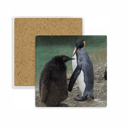 

Sea Cold Antarctic Penguin Science Nature Picture Square Coaster Cup Mat Mug Subplate Holder Insulation Stone