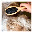 thumbnail image 4 of Cepillo para Mascotas Cool Bambu Pets Dual hecho de Bambú, 4 of 5