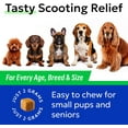 thumbnail image 6 of BARK&Spark Gland Guard - Anal Gland Support - Scoot Treatment - Prebiotics & Digestive Enzymes Supplement for Dogs Digestion & Gut Health. Proprietary Blend: Beet, Psyllium, Dandelion & Pumpkin 120Ct, 6 of 8