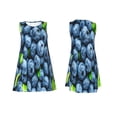 thumbnail image 3 of Bixox Fresh Blueberries Print Women's Sleeveless A-Line Dress with Pockets, Casual Knee-Length Tank Dress for Summer-X-Large, 3 of 7