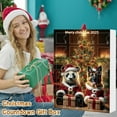 thumbnail image 3 of DAMAI Christmas Advent Calendar 2025, 24 Days 2D Panda Christmas Countdown Calendar,Acrylic Hanging Advent 2025 for Tree decor,Christmas Advent Calendar 2025, 3 of 6