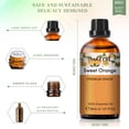 thumbnail image 2 of PHATOIL Sweet Orange Essential Oils for Diffusers Humidifier 100% Pure Natural Aromatherapy Massage Bath Sleep Relaxation 30ml/1.01 fl.Oz, 2 of 7