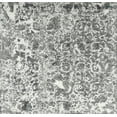 thumbnail image 1 of Ahgly Company Machine Washable Indoor Rectangle Traditional Grey Gray Area Rugs, 6' x 9', 1 of 7