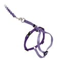 thumbnail image 1 of Arnés PetSafe Come With Me Kitty para gatos, tamaño grande, color lila, 1 of 1