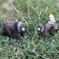 thumbnail image 4 of Small Figurines Wild Animals Lion Monkey Kangaroo Deer Model Action Figure Miniature Collection Cake Toppers Toy Kids Gift, 4 of 6