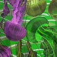 thumbnail image 1 of oneOone Cotton Jersey Green Fabric Ocean Jelly Fish Quilting Supplies Print Sewing Fabric By The Yard 58 Inch Wide, 1 of 4