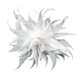 thumbnail image 1 of Minnieouse Broche de plumas para mujer, decoración para boda, Halloween, blanco Prendas para la parte del cuerpo Blanco, 1 of 1