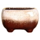 thumbnail image 5 of Maceta de cerámica esmaltada Cateissary para suculentas de jardín interior Type5 NO5, 5 of 6