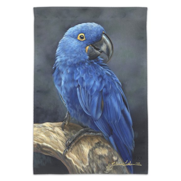 Hyacinth Macaw Parrot Garden Yard Flag