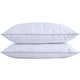 thumbnail image 1 of Almohada Puredown® con plumas de ganso y plumón 100% algodón Queen, 1 of 8