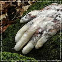 Antwood - Virtuous.Scr - Electronica - Vinyl