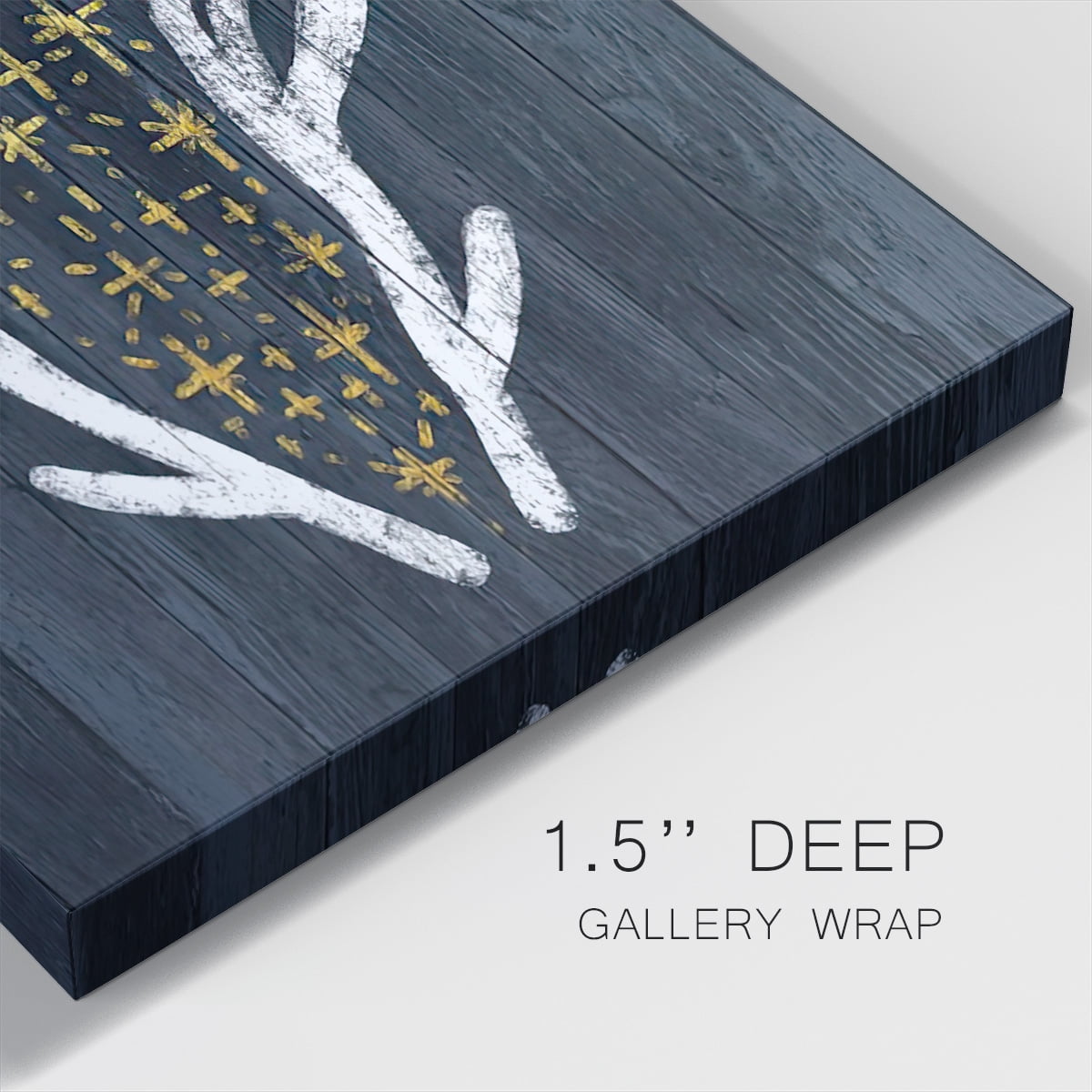 Antlers & Magic- Gallery Wrapped Canvas