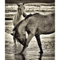 thumbnail image 3 of Drost, David 12x14 Black Modern Framed Museum Art Print Titled - Beach Horses I, 3 of 5