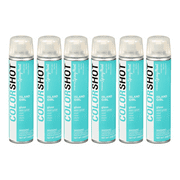 COLORSHOT Aerosol Spray Paint 10oz - Island Girl - Mint - Gloss, 6 Pack