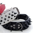 thumbnail image 5 of SPRING PARK Faux Leather Spiked Anti-bite Collar Studded Punk Dog Collar for Small/X-Small Breeds and Puppies, 5 of 7