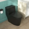 thumbnail image 5 of Prism 1-Piece 1.1/1.6 GPF Dual Flush Elongated Toilet in Black, Seat Included, 5 of 13