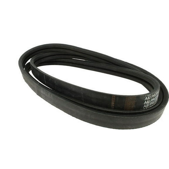 Belt B17653934710