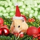 thumbnail image 2 of ColoMX 2 Unids Sombrero de Navidad Gorra Trajes de Disfraces de Navidad Lindos Sombreros Accesorios de Aseo para el Cabello para Perro Gato Mascota Hámster, 2 of 7