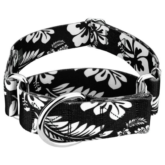Country Brook Design® 1 1/2 Inch Black Hawaiian Martingale Dog Collar
