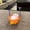 Orange, variant on LLQkigsxse Funny Toys Cat in The Hanging Doll Toy Cat in Shoe with Meows Sounds Sleeping Cute Toys for Kids Boys