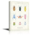 thumbnail image 2 of wall26 - Canvas Wall Art - Hand Drawn Insect Collection Single Artwork - Giclee Print Gallery Wrap Modern Home Art Ready to Hang - 24x36 inches, 2 of 4