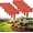Gray, variant on Imitation Stone Garden Fence, Plastic Faux Stone Garden Edging Border, and Durable Simulated Stone Fence for Decorative Landscaping, Lawn, Flower Bed, Yard (Grey, 10PCS)