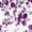 Printed - Purple Floral, variant on Hitime King Duvet Cover Set, Soft & Breathable Microfiber 3 Pieces King Bedding Sets, Pattern King Comfy Duvet Cover Set, with Zipper Closure (King)