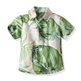 thumbnail image 6 of Elainilye Fashion Summer Boys Clothes Casual Short Sleeve Round-Neck Printing Shirt Short Pants Two-piece Set Suitable For 6 Months-6 Years Old,Green, 6 of 9