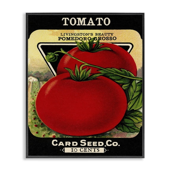 Stupell Industries Vintage Garden Tomato Food & Beverage Painting Black Framed Art Print Wall Art, 11 x 14