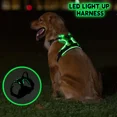 thumbnail image 2 of LED Light Up Dog Harness No Pull Adjustable Rechargeable Pet Vest Harness Small Medium Large Dogs Outdoor Walking Pet Supplies (Normal Blue,L), 2 of 7