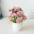 thumbnail image 4 of 12 Headed Chrysanthemum Potted Green Floral Arrangement Desktop For Home Centerpiece Wedding Details Fall Flowers Outdoor Flower Arrangements in Vase Wall Flowers Bouquet Holder for Flowers Winter, 4 of 5