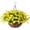 Yellow, variant on Artificial Fake Hanging Plants Flowers Basket for Outdoor Spring Decoration, Faux Silk Purple Morning Glory Eucalyptus Realistic UV Resistant for Outside Home Porch Patio Balcony Decor