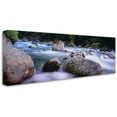 thumbnail image 2 of Trademark Fine Art "Hollyford River-NZ" Canvas Art by David Evans, 2 of 3