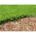 thumbnail image 4 of Simple Garden Cypress Mulch Gold Blend, 2 Cubic Foot., 4 of 8