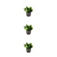 thumbnail image 3 of kurtrusly Realistic Artificial Succulent Low Maintenance Elegant Easy To Clean Artificial Money Tree In Pot new whitebabysbreath 3Set, 3 of 6