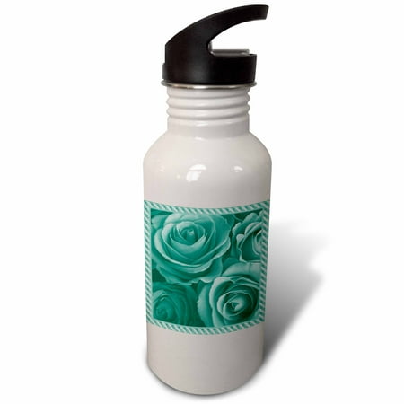 

Close up scene of dreamy muted teal green roses surrounded by a striped frame 21 oz Sports Water Bottle wb-29929-1