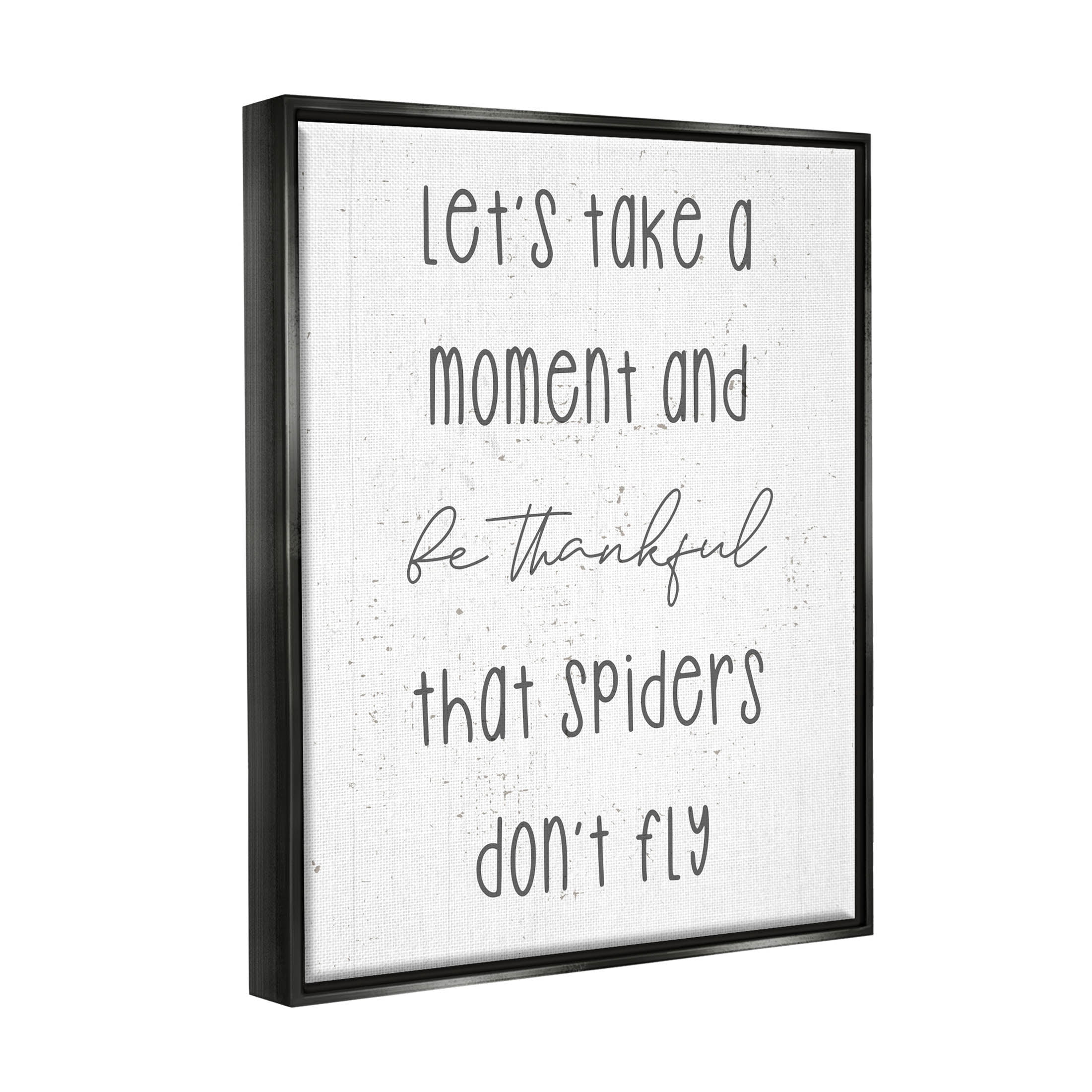 Stupell Industries Spiders Don't Fly Humor Graphic Art Jet Black Floating Framed Canvas Print Wall Art, Design by Daphne Polselli