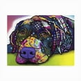 thumbnail image 7 of Dean Russo 'Savvy Labrador' Outdoor All-Weather Wall Decor, 7 of 7