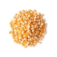 thumbnail image 2 of Organic Yellow Popcorn, 2 Pounds — Non-GMO, Vegan, Raw — by Food to Live, 2 of 7