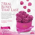 thumbnail image 2 of GLAMOUR BOUTIQUE 7-Piece Forever Flowers Heart Shape Box - Preserved Roses, Immortal Roses That Last A Year - Eternal Rose Preserved Flowers for Delivery Mothers Day & Valentines Day - Velvet Pink, 2 of 9