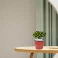 thumbnail image 4 of MOVTOTOP 50Pcs Simple Design Plastic Flower Pots for Balcony Patio and Garden, 4 of 8