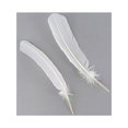 thumbnail image 3 of Zucker Turkey Quill Feathers 4/Pkg-White, 3 of 4
