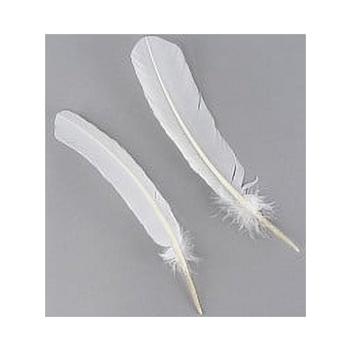 Zucker Feather - Ostrich Drabs Dyed - White