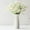 White WH, variant on Latrodar Green Plastic Vase 9.8 Inch For Pampas Flower Vase Decorative Vase Vase For Flowers Modern Vase For Home Decor Bouquet Shelf Weddings First Home Must Haves Blue Plastic up to 50% Off
