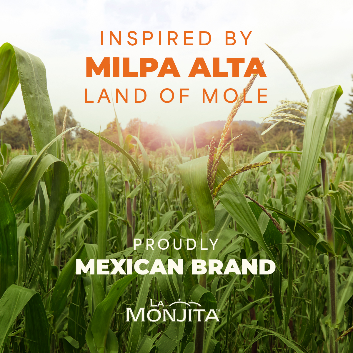 La Monjita Traditional Mexican Mole Sauce Powder Mix – Classic Dry Sauce Blend with Chiles, Cacao, Tortilla & Sesame Seeds (500g / 17.6oz Pouch, 17 Servings)