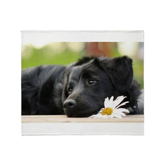 CafePress - Black Lab Throw Blanket - Soft Fleece Throw Blanket, 50"x60" for All Ages
