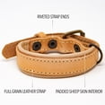 thumbnail image 4 of logical leather padded leather dog collar - brown - m, 4 of 4