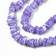 thumbnail image 3 of Natural Freshwater Shell Beads Strands Dyed Chips Lilac 2.5~5.5x6~17.5x5~8mm Hole: 0.8mm 92~112pcs/strand 13.98 inch~16.14 inch(35.5~41cm), 3 of 3