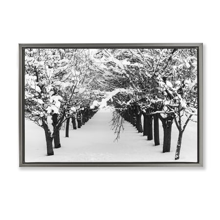 Stupell Industries Winter Tree Pathway Landscape & Nature Photography Gray Floater Framed Canvas Art Print Wall Art 31 x 21